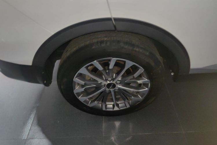 哈弗H6 2020款 1.5GDIT 自动铂金冠军版车身外观6008