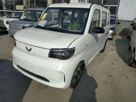 五菱汽车 五菱之光新能源 2025款 305km 进取型