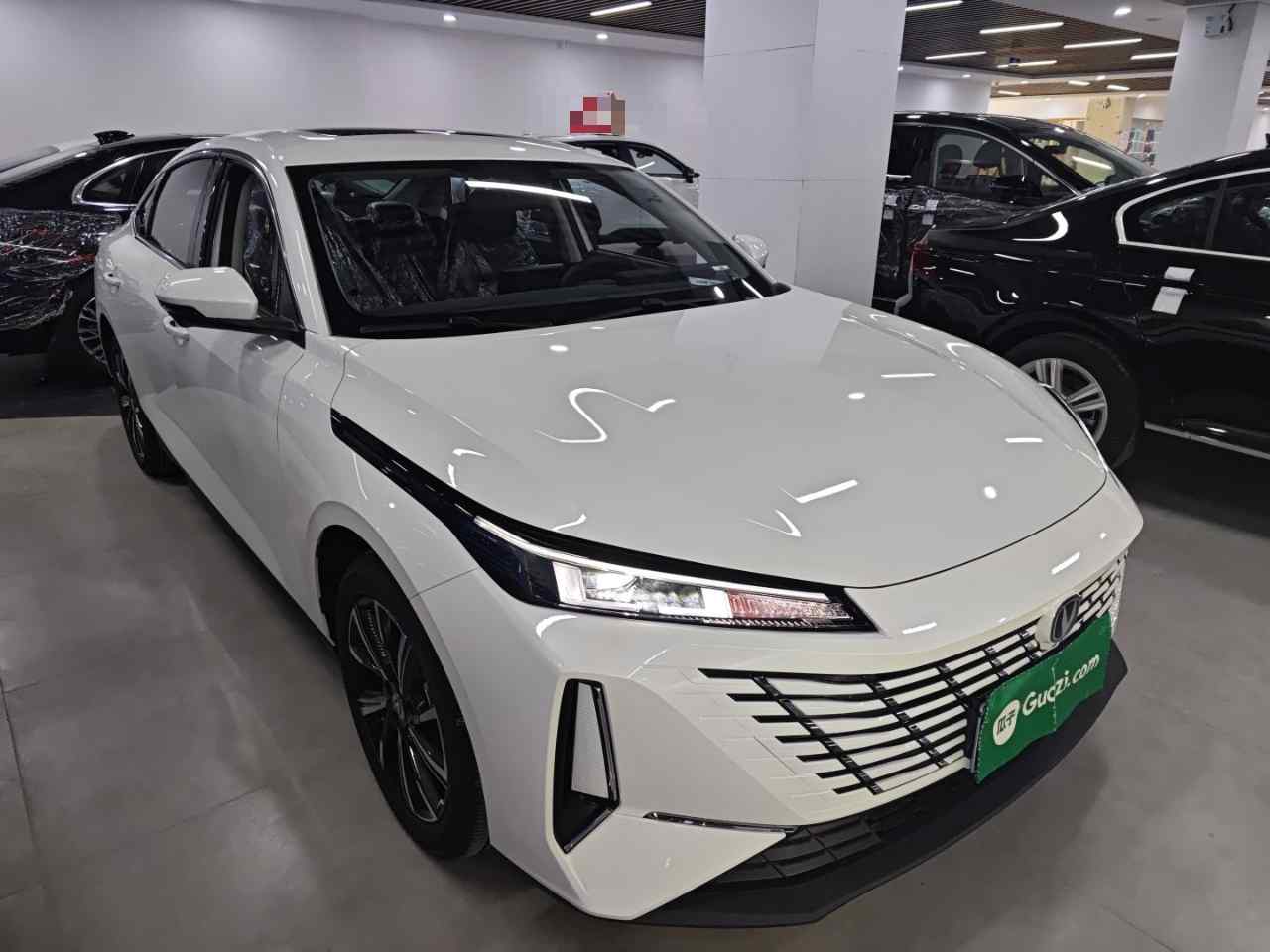 长安 逸动 2025款 蓝鲸 1.5T 500Bar尊贵型(5)