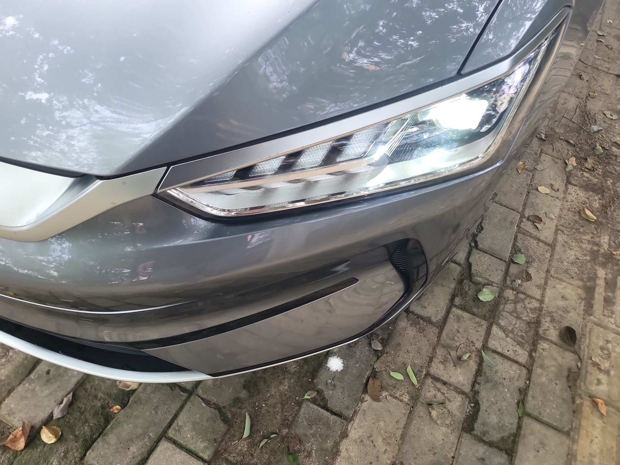 比亚迪 秦PLUS 2024款 荣耀版 EV 420KM领先型