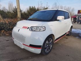 欧拉白猫 2020款 305km 豪华型