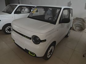 吉利银河 熊猫 2025款 210km 元气熊