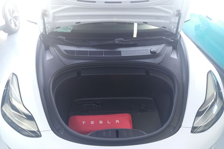 特斯拉 Model 3(进口) 2019款 长续航全轮驱动版局部细节24