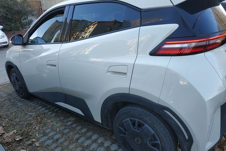 比亚迪 海鸥 2023款 活力版车身外观4