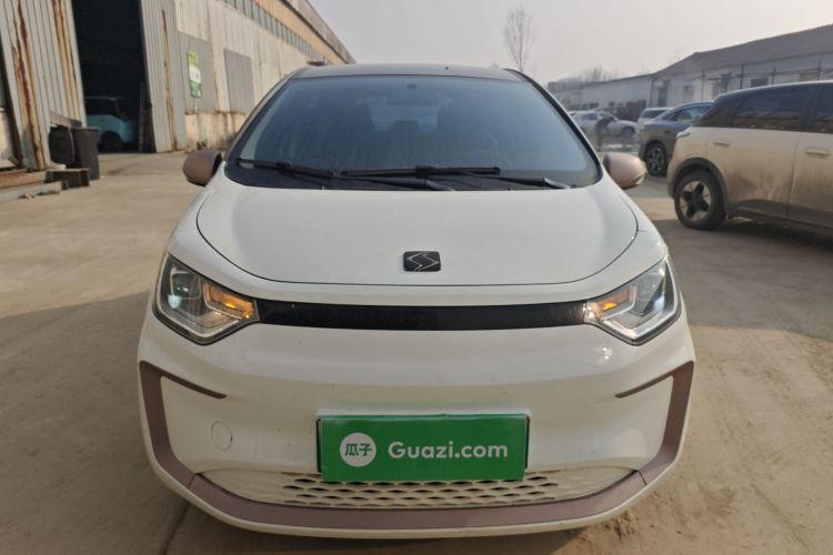 思皓 2022款 花仙子款 四叶草车身外观6001