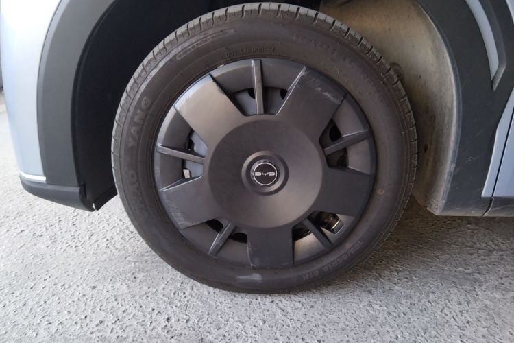 比亚迪 海鸥 2024款 荣耀版 305km 活力版车身外观6007