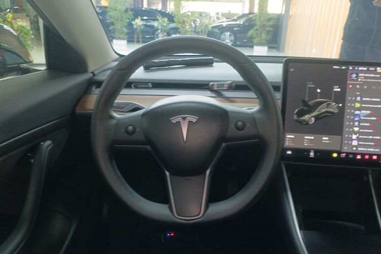 特斯拉 Model 3 2019款 标准续航后驱升级版局部细节13