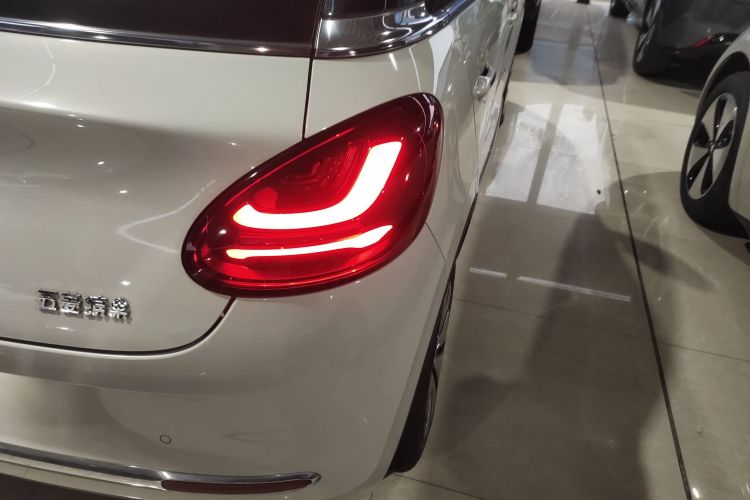 五菱汽车 五菱缤果 2023款 333km 灵犀互联款车身外观6006