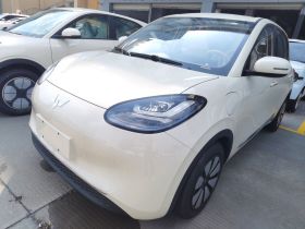 五菱汽车 五菱缤果 2025款 333km 灵犀互联款