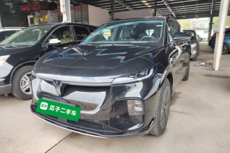 岚图汽车 岚图知音 2024款 四驱全球版