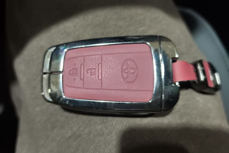 丰田 RAV4荣放 2020款 2.0L CVT两驱风尚版中控内饰7001