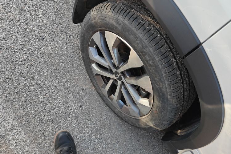 奇瑞 瑞虎8 2024款 荣耀版 230TCI 自动卓越版 7座车身外观6008