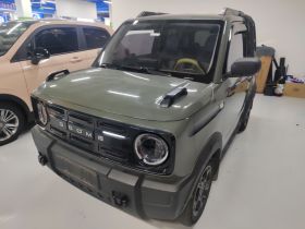 吉利银河 2024款 200km 熊猫骑士