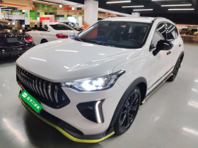 哈弗赤兔 2021款 激擎版 1.5T 白银兔