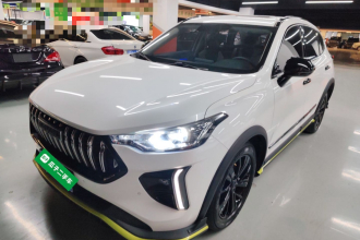 哈弗赤兔 2021款 激擎版 1.5T 白银兔