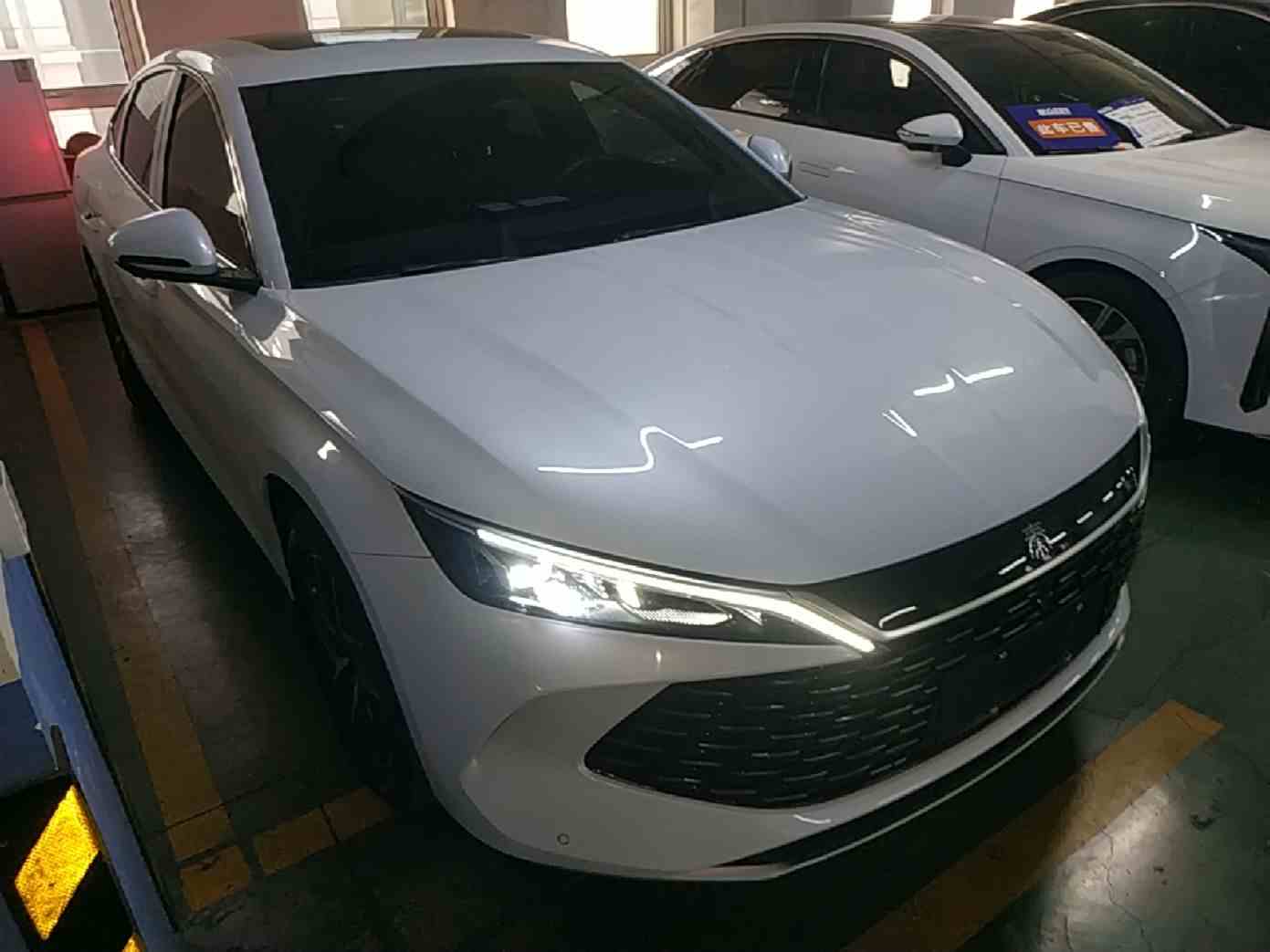 比亚迪 秦L 2024款 DM-i 120KM领先型(5)
