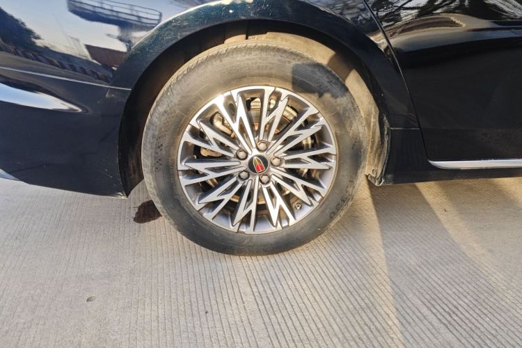 红旗H5 2023款 2.0T 自动智联旗享版车身外观6008