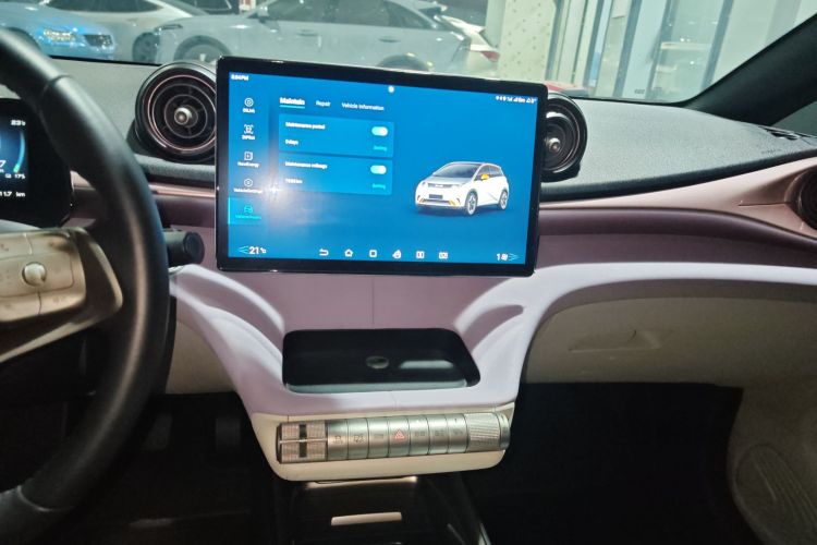 比亚迪 海豚 2021款 405km 时尚版局部细节16