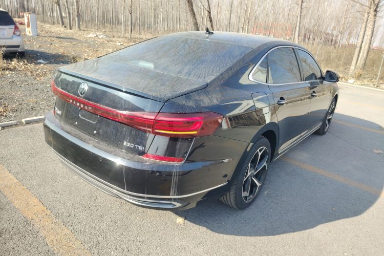 大众 帕萨特 2024款 380TSI 星空豪华版车身外观7