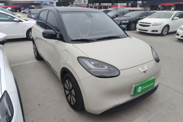 五菱汽车 五菱缤果 2023款 203km 舒享款车身外观6002