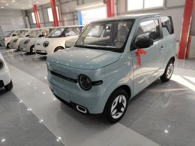 吉利银河 熊猫 2025款 210km 元气熊