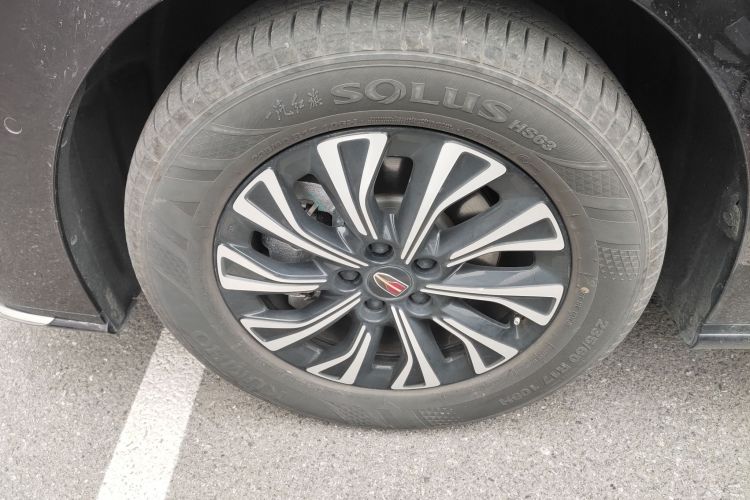 红旗HQ9 PHEV 2024款 2.0T 四驱豪华版车身外观6007