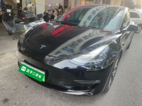 特斯拉 Model 3 2021款 改款二 Performance高性能全轮驱动版