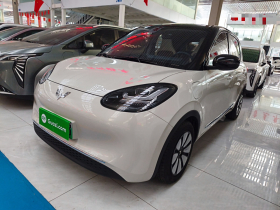 五菱汽车 五菱缤果 2024款 333km 悦享款