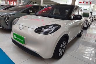 五菱汽车 五菱缤果 2024款 333km 悦享款