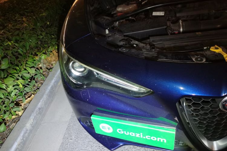 阿尔法·罗密欧 Stelvio斯坦维 2017款 2.0T 200HP 精英版车身外观6006