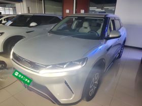 比亚迪 元UP 2024款  401KM 活力版