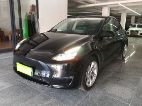 特斯拉 Model Y 2021款 标准续航后驱版