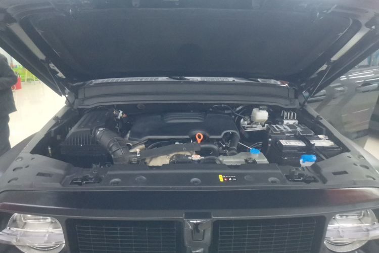 坦克300 2023款 2.0T 铁骑02局部细节24