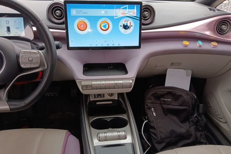 比亚迪 海豚 2021款 401km 骑士版局部细节16