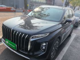 红旗HS7 2024款 2.0T 自动四驱旗享版 六座