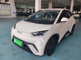 比亚迪 海鸥 2024款 荣耀版 305km 活力版