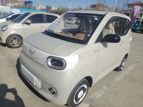 五菱汽车 宏光MINIEV 2024款 第三代 215km 青春版