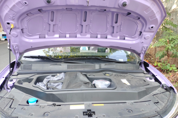 东风纳米 纳米01 2024款 330 Plus智+局部细节24