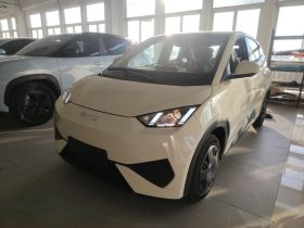 比亚迪 海鸥 2025款 305km 活力版