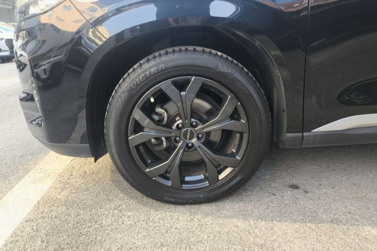 星途揽月 2021款 390T 两驱星耀长续航版车身外观6002