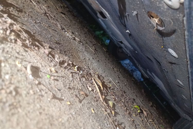 宝马1系(进口) 2013款 改款 116i 领先型局部细节9004