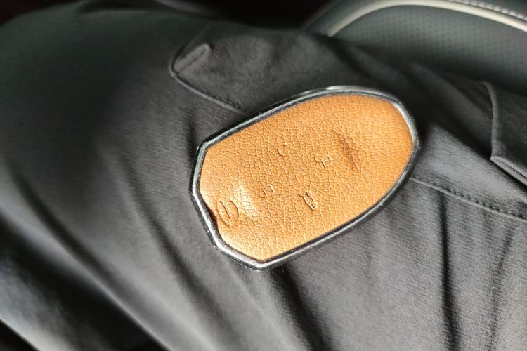 广汽传祺 传祺GS8 2022款 双擎系列 2.0TM 四驱尊贵版 （七座）中控内饰7001