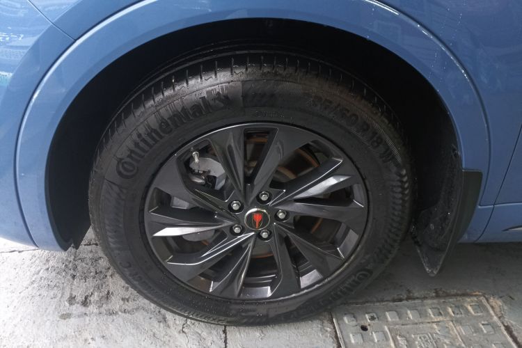 红旗HS5 2023款 2.0T 旗享Pro版车身外观6007