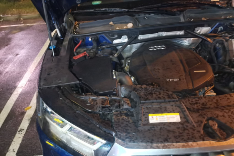 奥迪Q5L 2018款 45 TFSI 尊享时尚型 国V局部细节9006