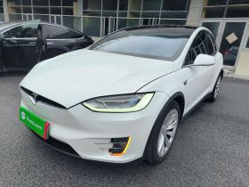 特斯拉 Model X 2019款 长续航版