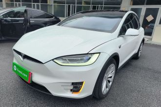 特斯拉 Model X 2019款 长续航版
