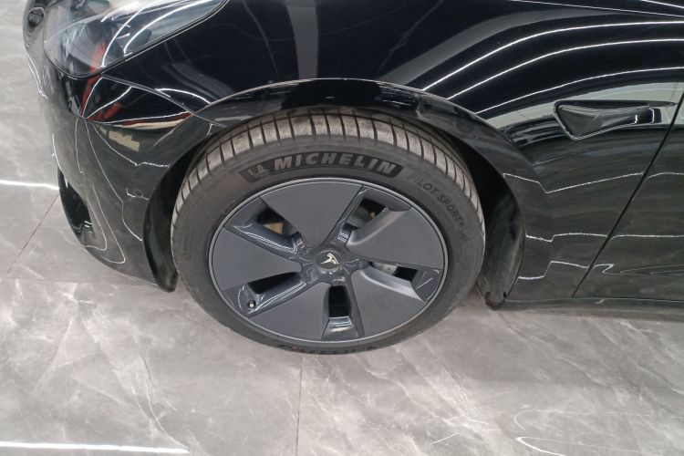 特斯拉 Model 3 2021款 标准续航后驱升级版 3D6车身外观6007