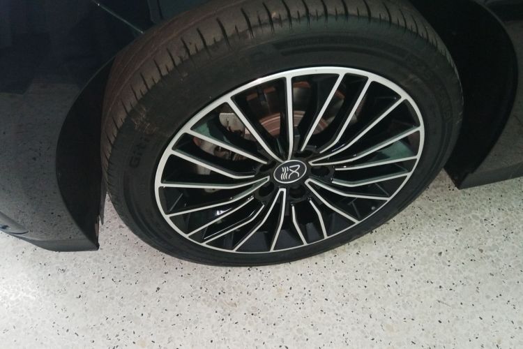 比亚迪 汉 2023款 EV 冠军版 506KM前驱尊贵型车身外观6002