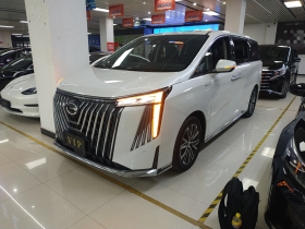 广汽传祺 传祺M8 2024款 大师系列 400T 至尊版