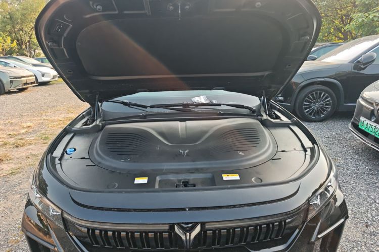 岚图汽车 岚图FREE 2025款 318 318km 后驱环游版局部细节24